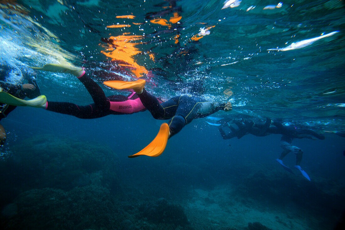 Red Sea Travel Packages | Best Beaches in Egypt Red Sea